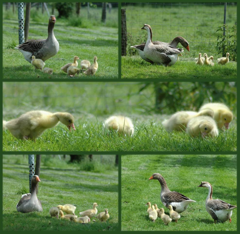 erster Familienausflug