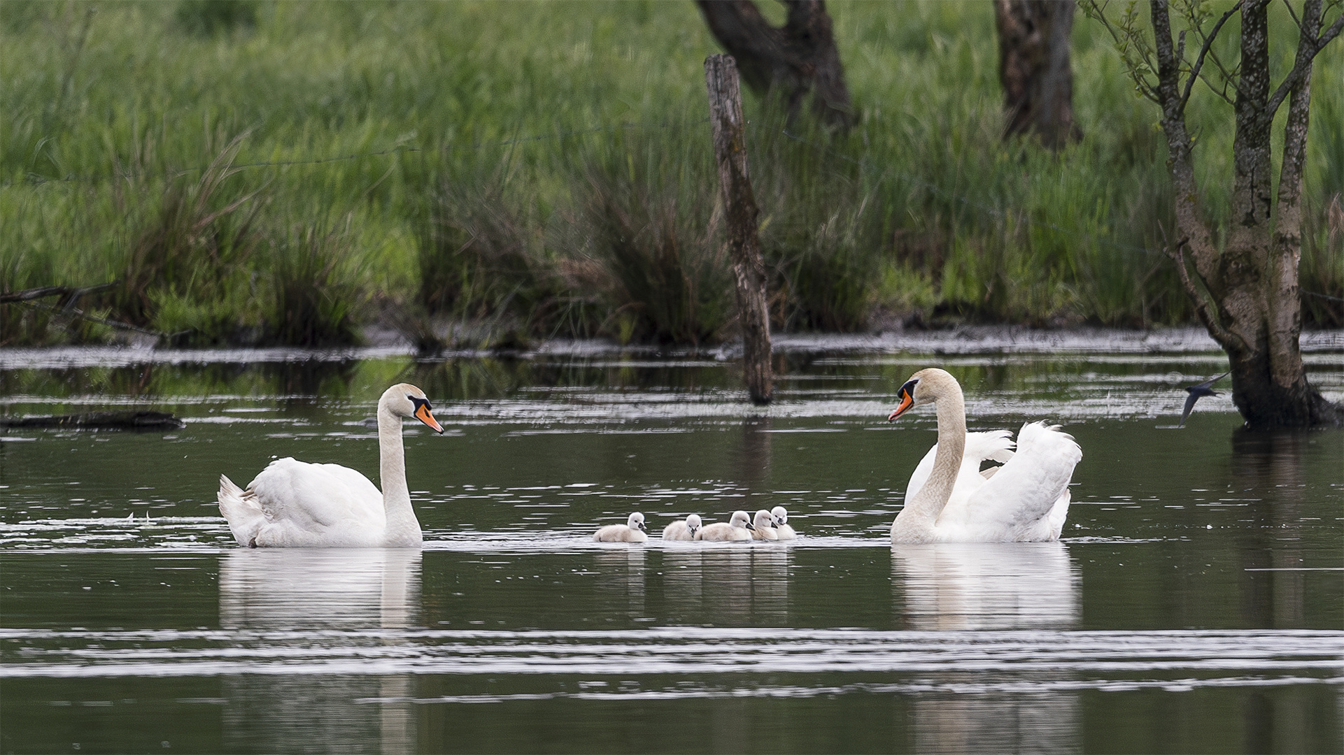 Erster Familienausflug