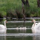 Erster Familienausflug