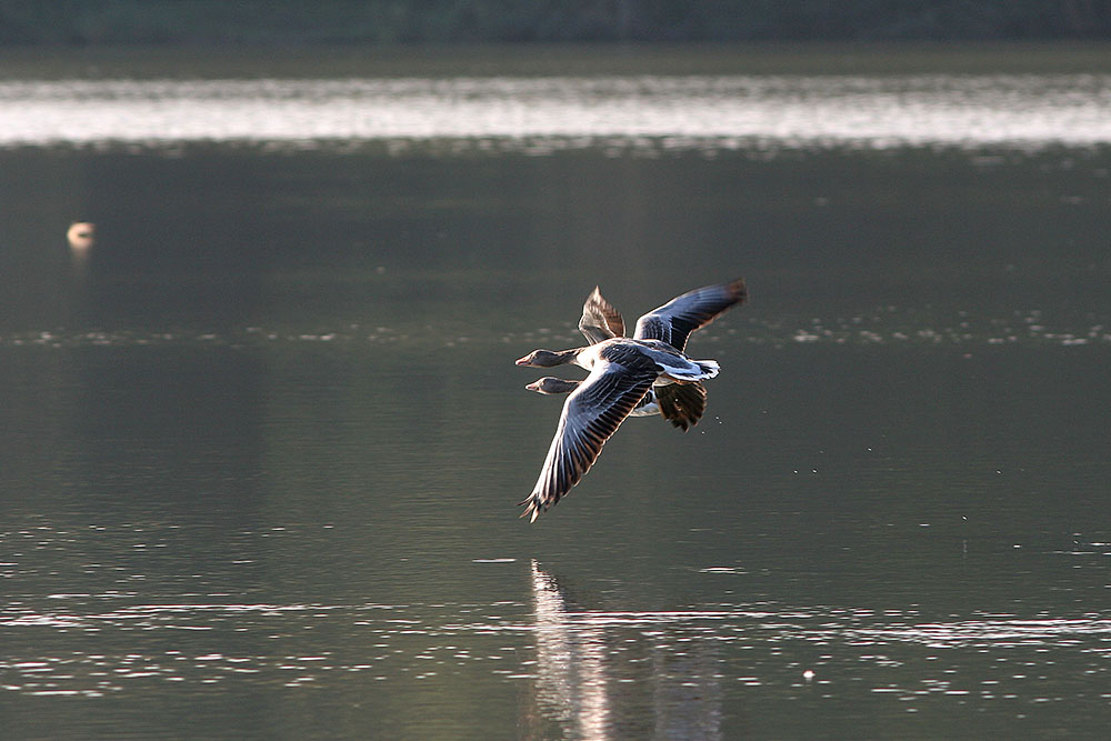 Erster Flug am Morgen