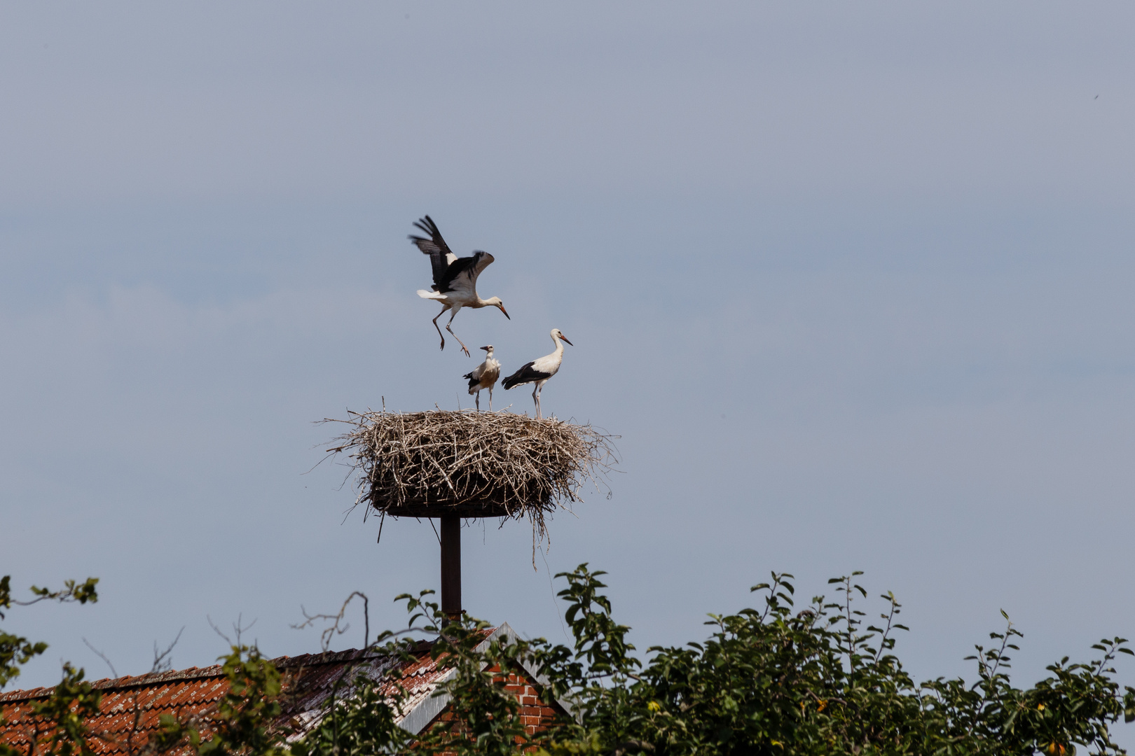 Erster Flugversuch