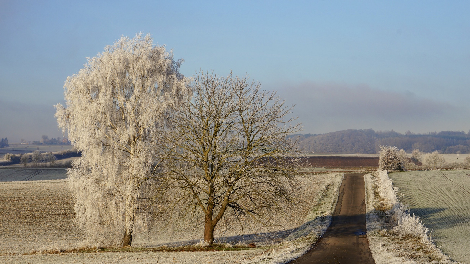 erster Frost