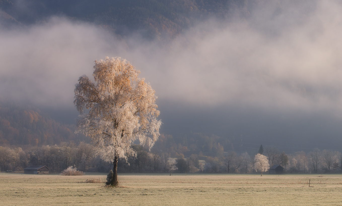 Erster Frost