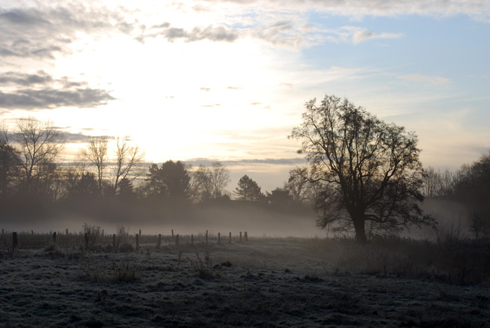 Erster Frost