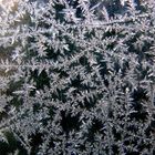 "Erster Frost"