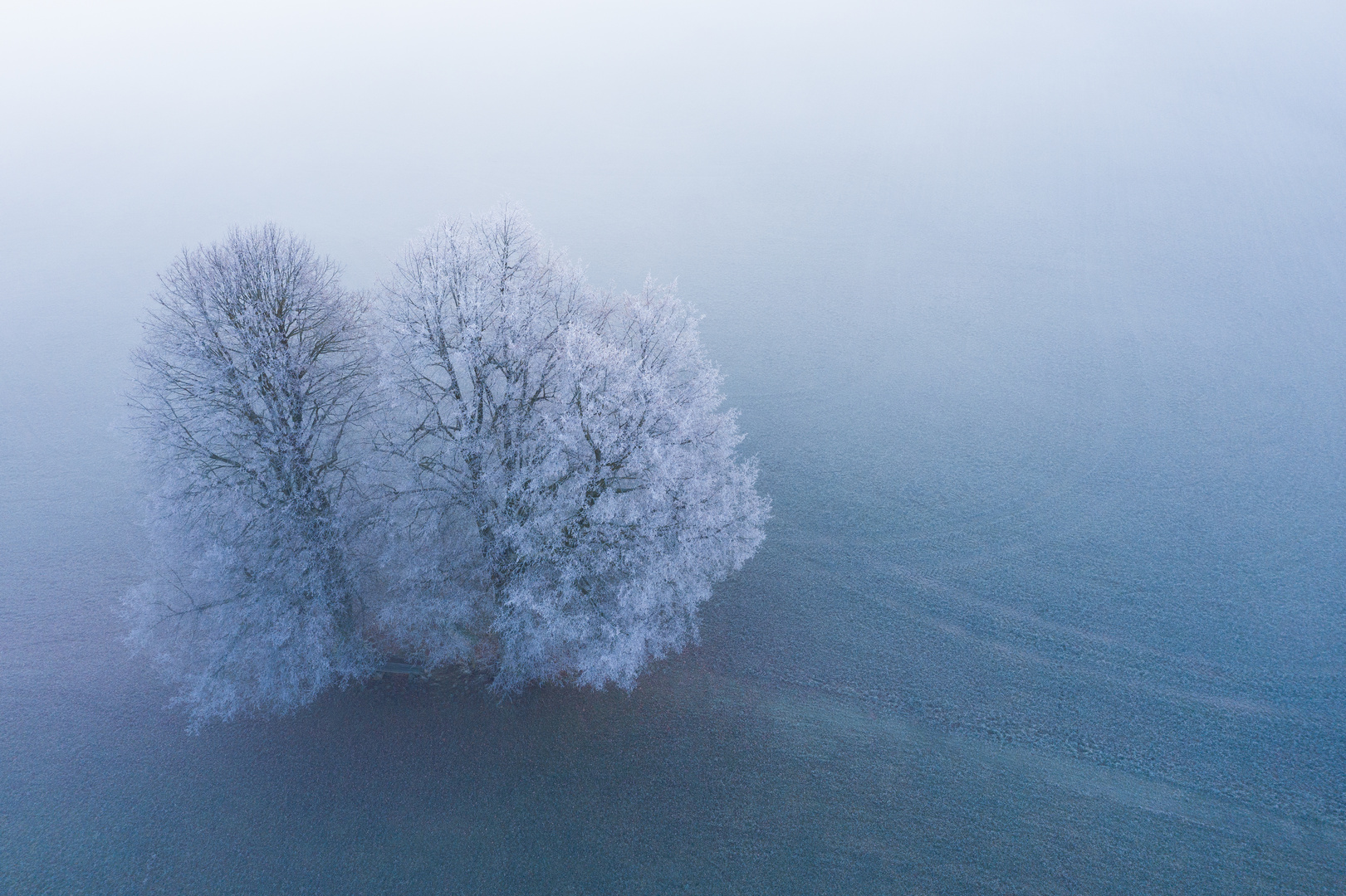 erster Frost