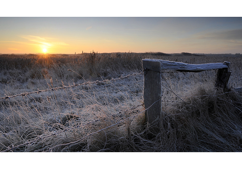 Erster Frost...