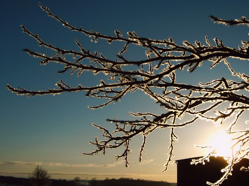 erster Frost