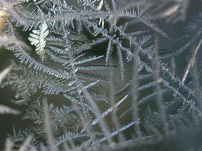 Erster Frost an der Haltestelle