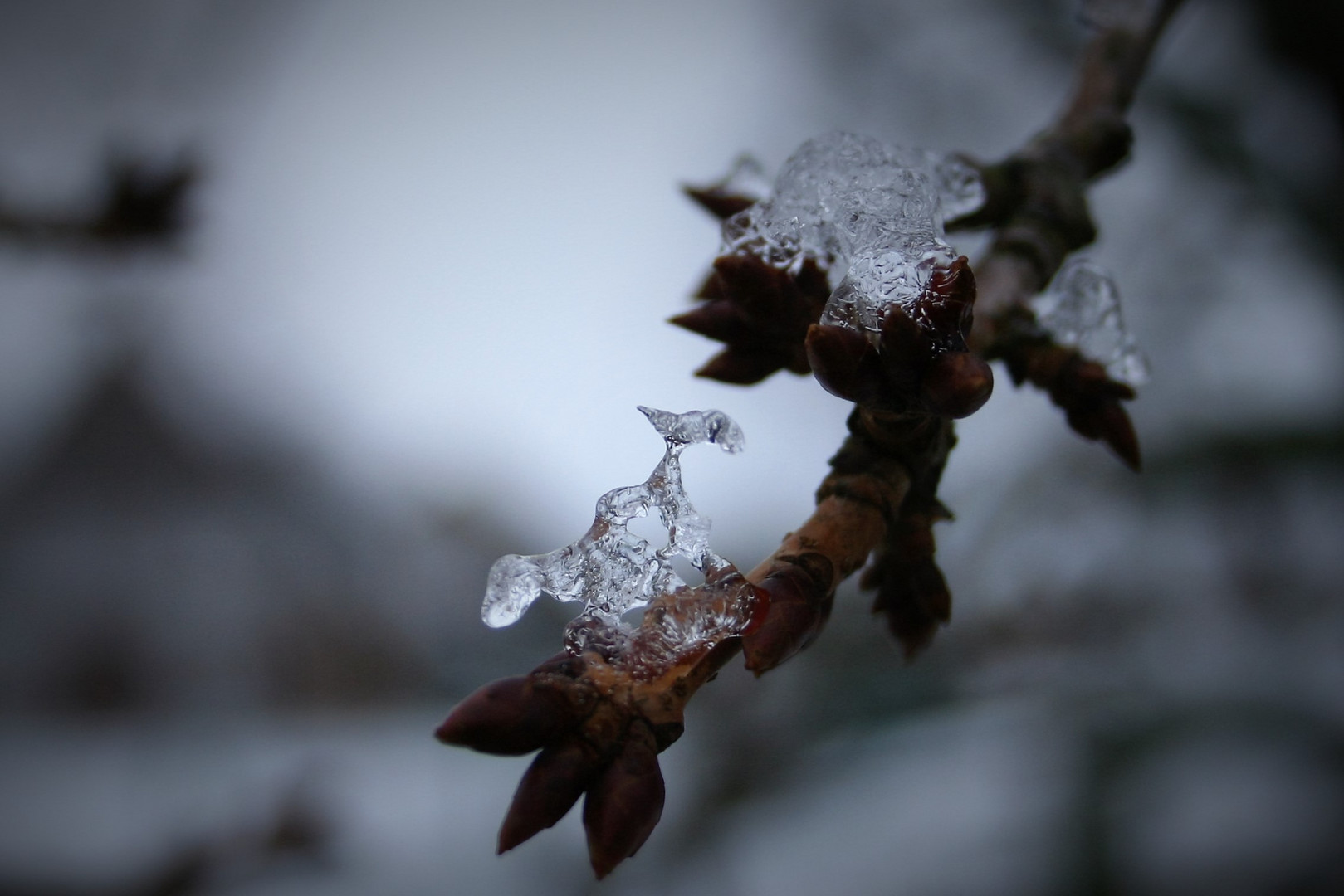 Erster Frost