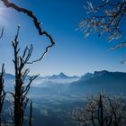 erster Frost hinterlässt zarte Spuren