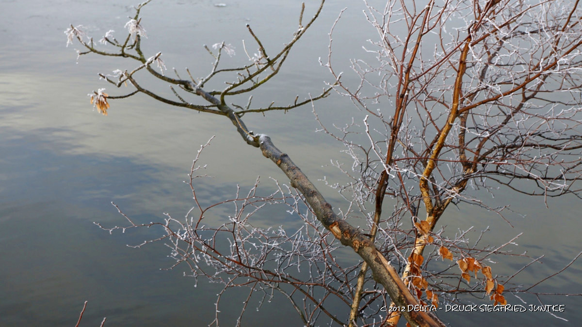 Erster Frost im Dezember