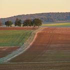 erster Frost im  Morgenlicht die Felder im Oktober...