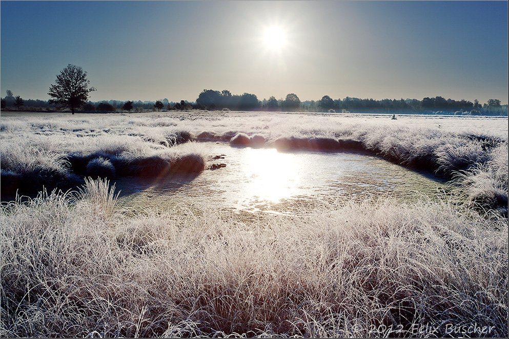 Erster Frost im Recker Moor