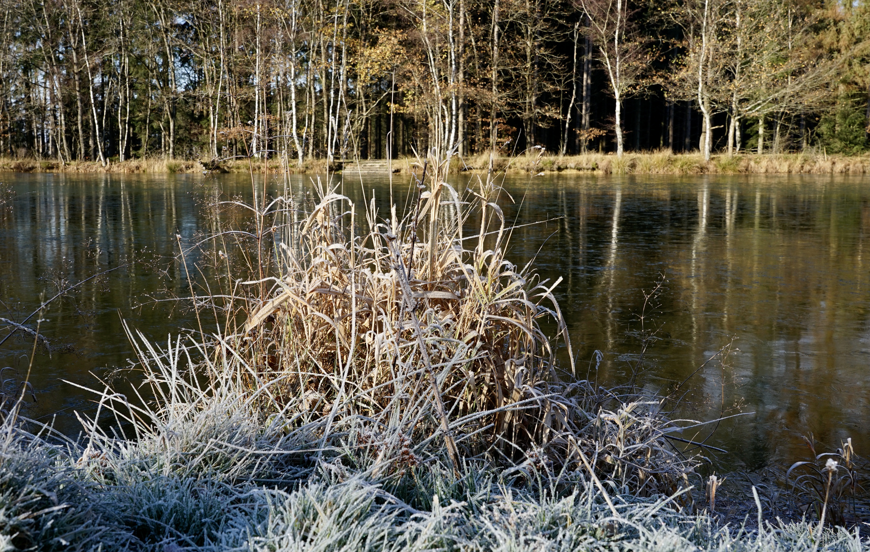 Erster Frost im Siegerland