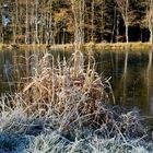 Erster Frost im Siegerland