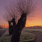 Erster Frost im Sonnenaufgang