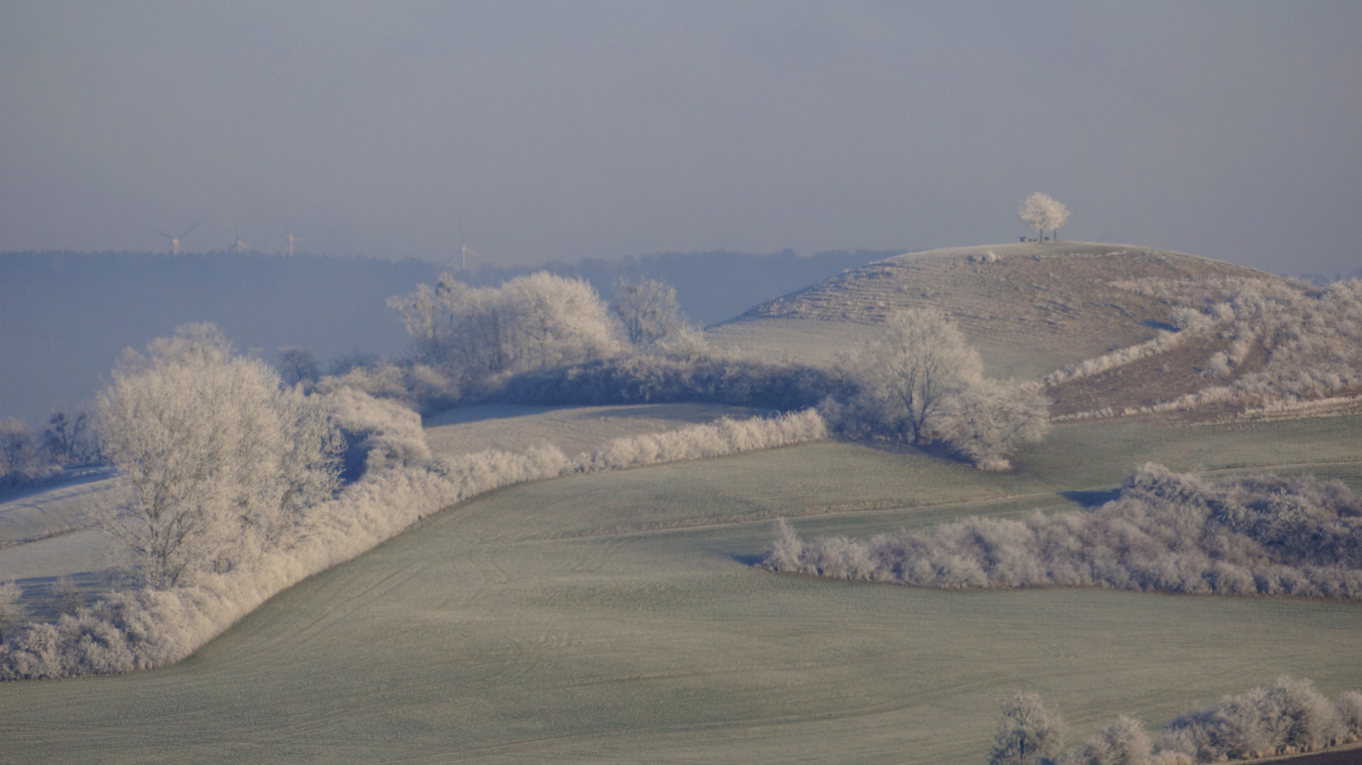 erster Frost in Ostwestfalen