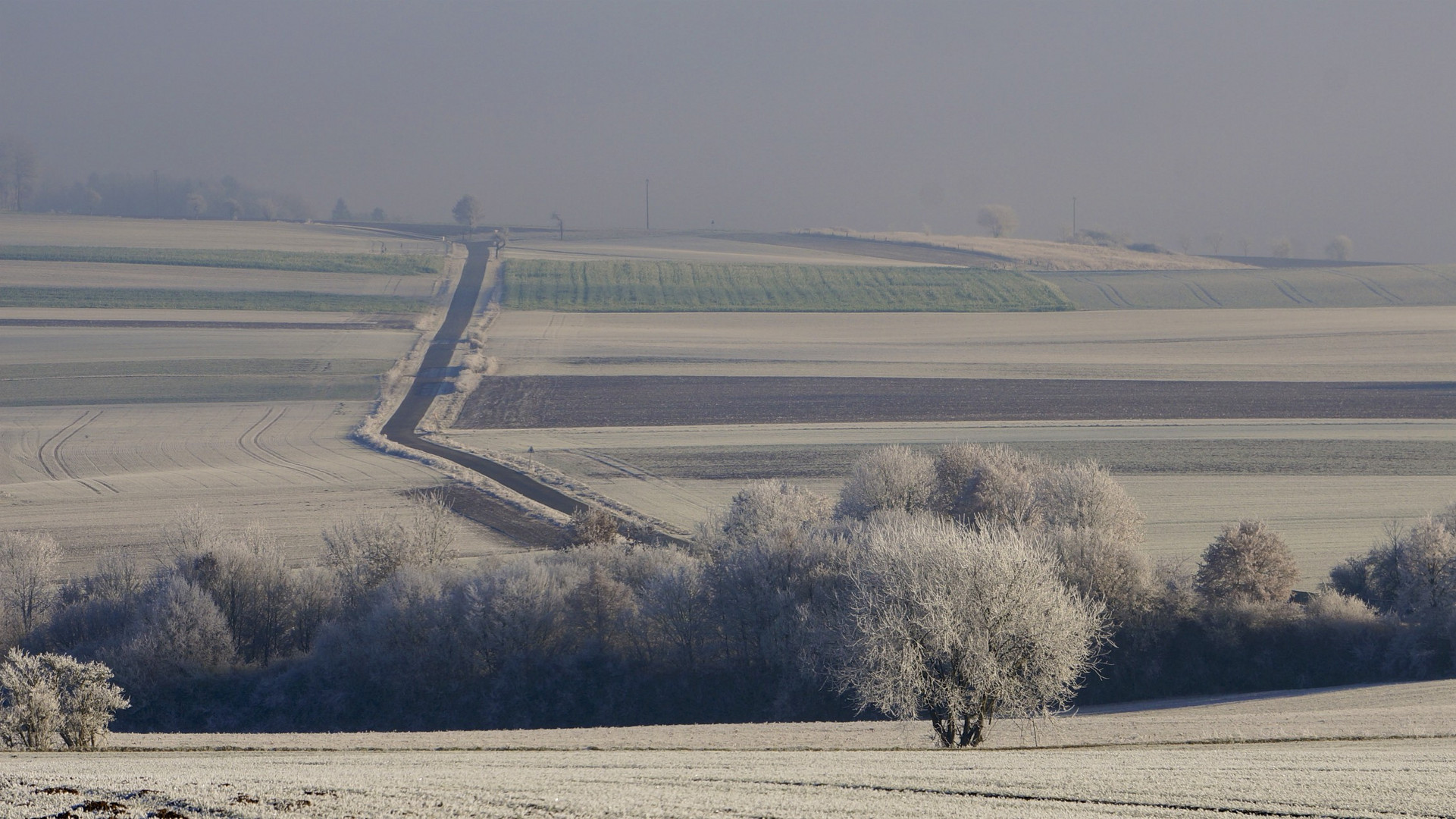 erster Frost in OWL