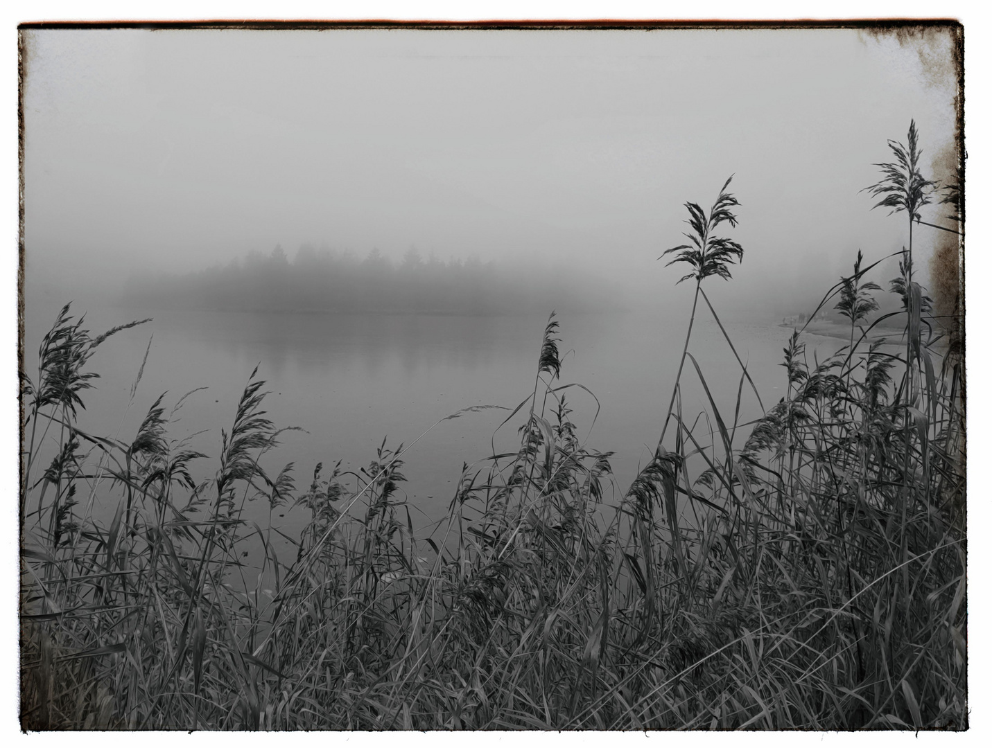 erster Frost und Nebel