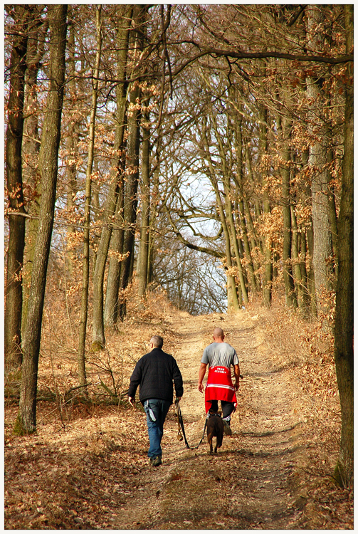 Erster Frühlings-Waldspaziergang