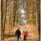 Erster Frühlings-Waldspaziergang