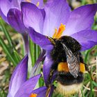 Erster Frühlingsausflug