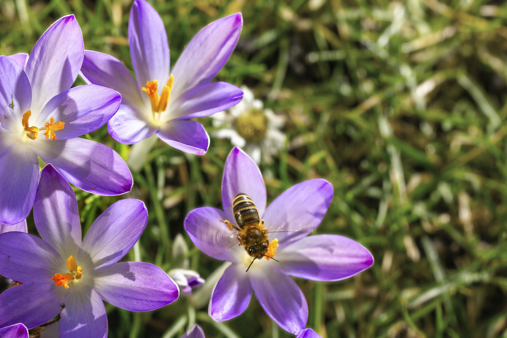 erster Frühlingstag in Deutschlands Norden