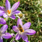 erster Frühlingstag in Deutschlands Norden