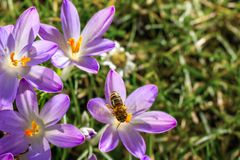 erster Frühlingstag in Deutschlands Norden