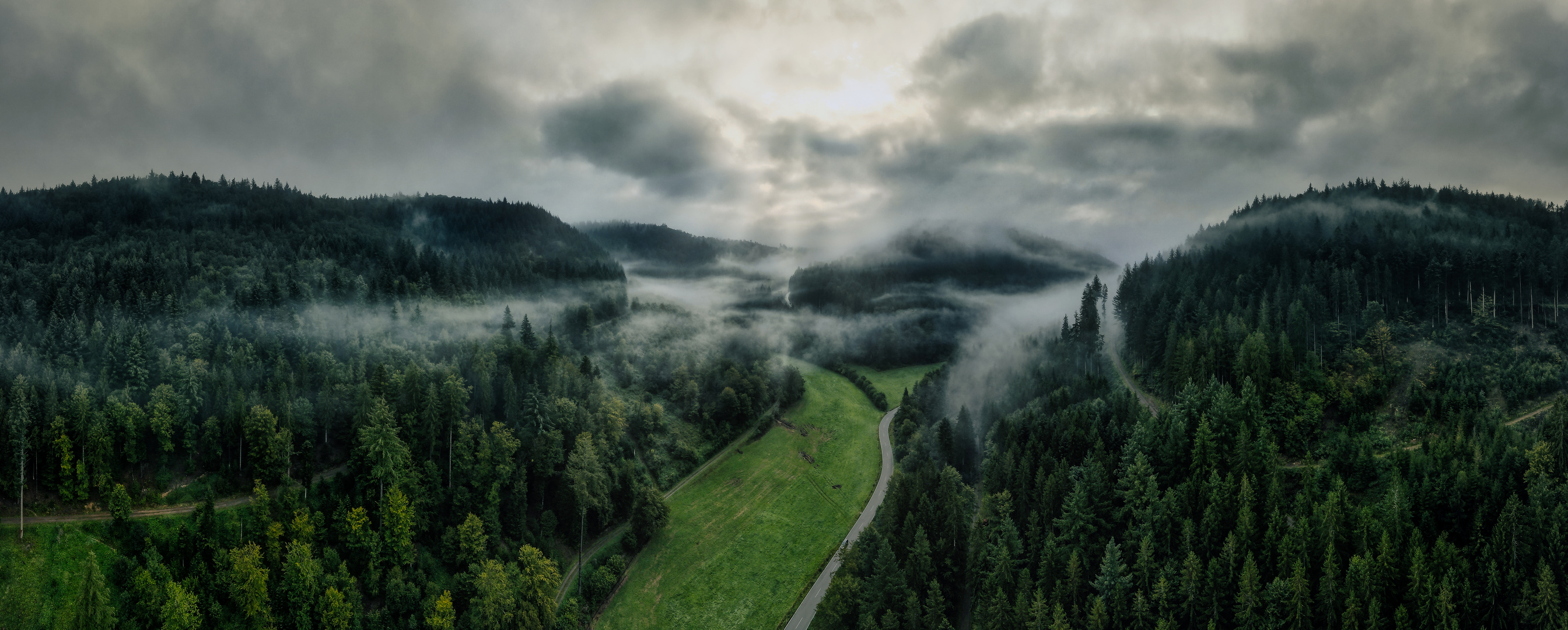 erster Frühnebel 2021 