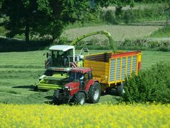 Erster Grasschnitt wird gehäckselt ......