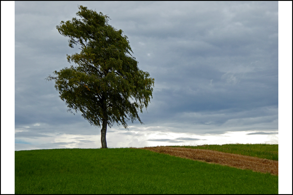 erster Herbst ...