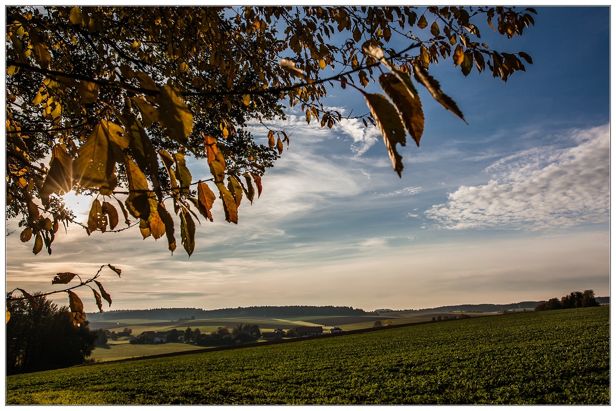 ...Erster Herbst-Gruß 2...