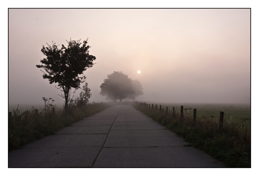 erster Herbstnebel