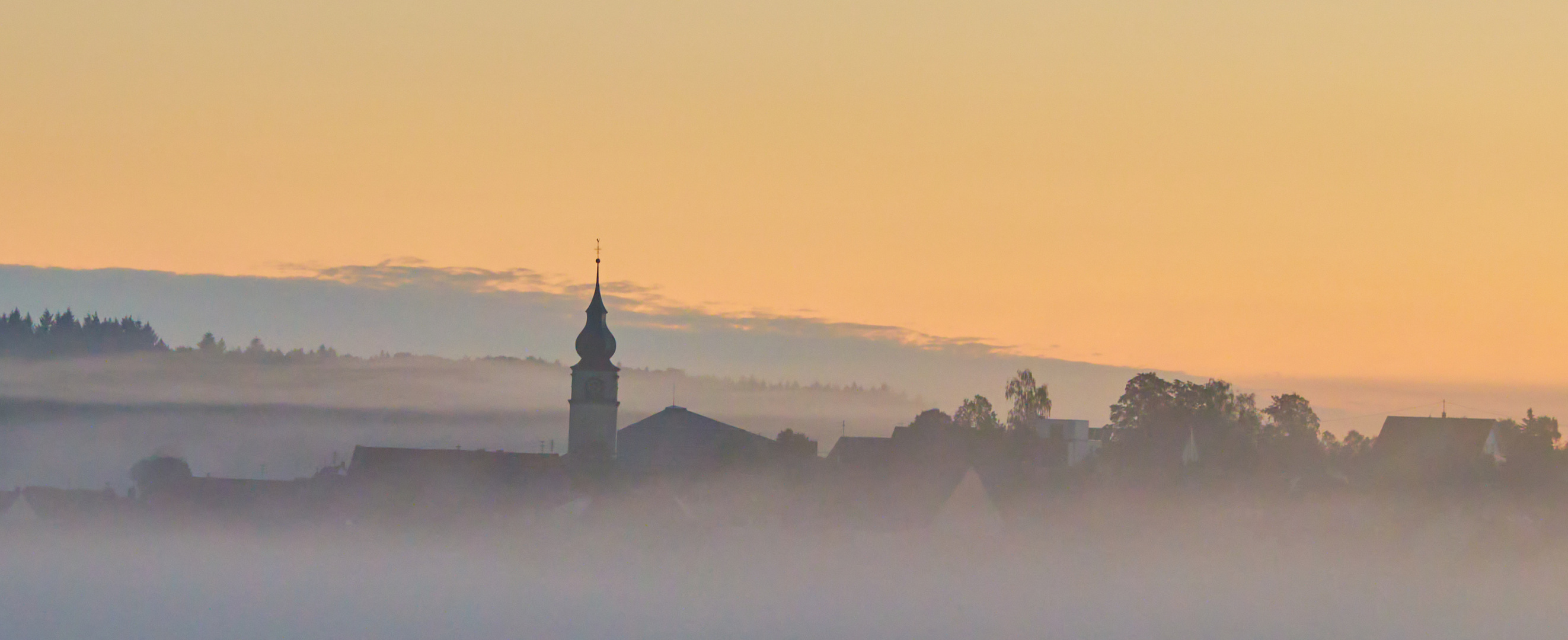 erster Herbstnebel