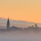 erster Herbstnebel