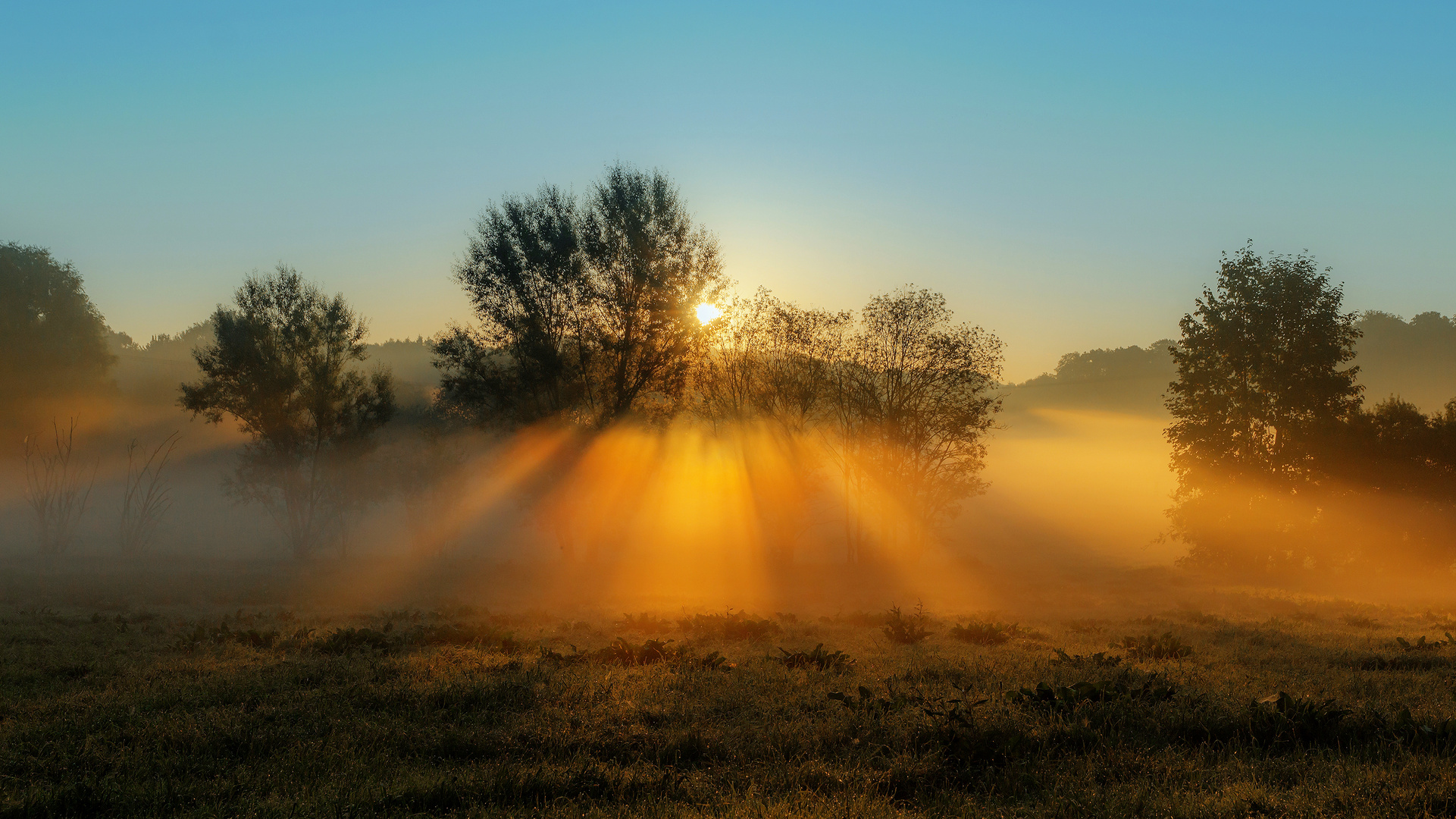 erster Herbstnebel