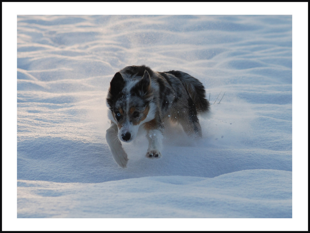 Erster Kontakt mit Schnee...