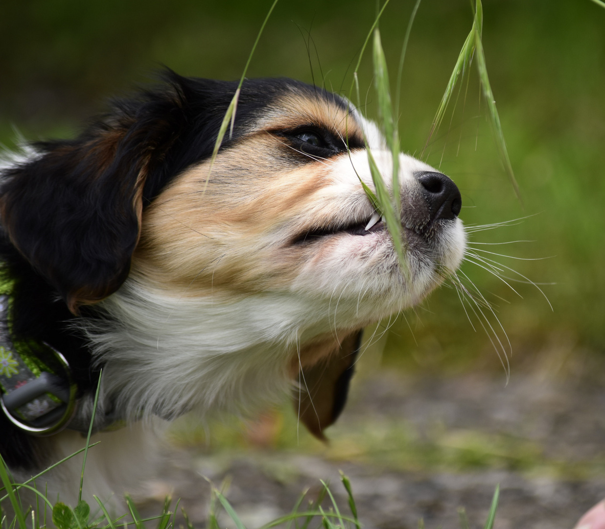 Erster Kontakt zur Natur 