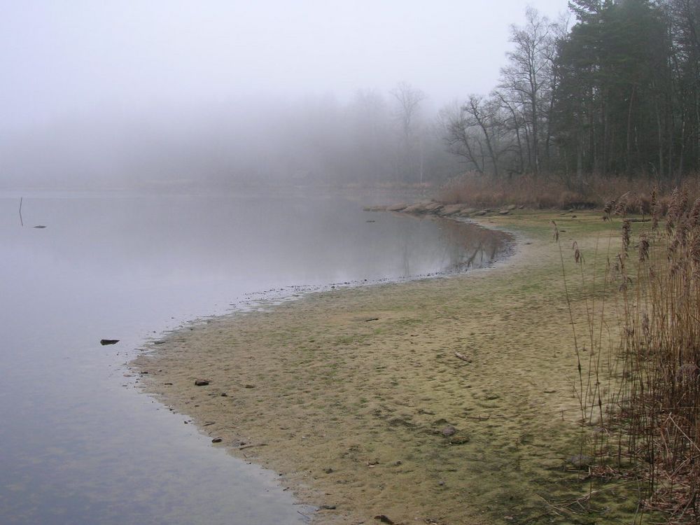 Erster Nebel von Lilian Müllner 