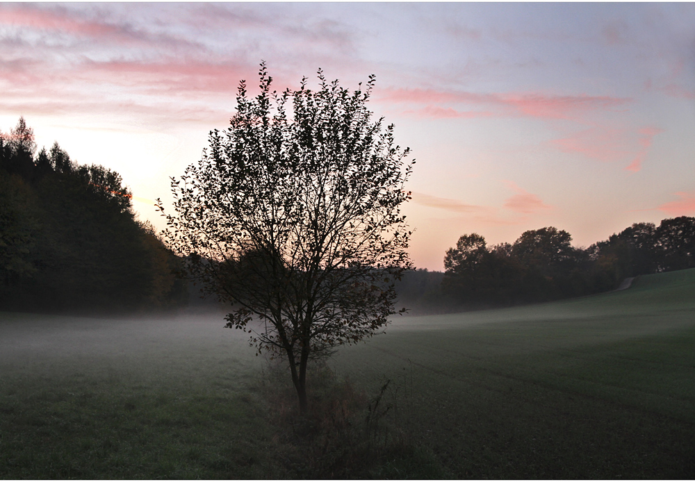 erster novembernebel..