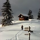 Erster Novemberschnee im Berchtesgadener Land