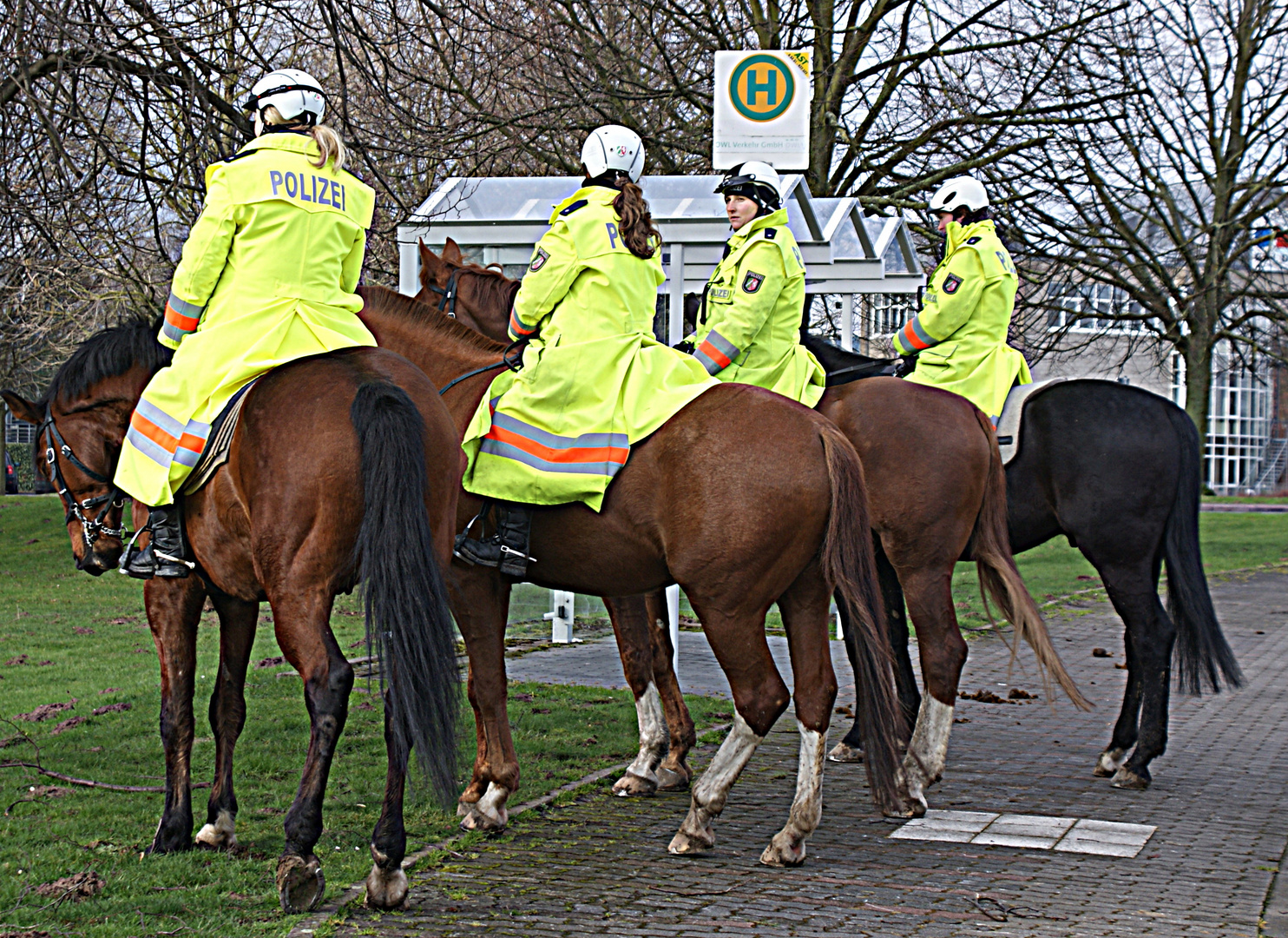 Erster Prozeßtag: Warum wurden hier Polizeipferde eingesetzt??