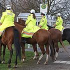 Erster Prozeßtag: Warum wurden hier Polizeipferde eingesetzt??