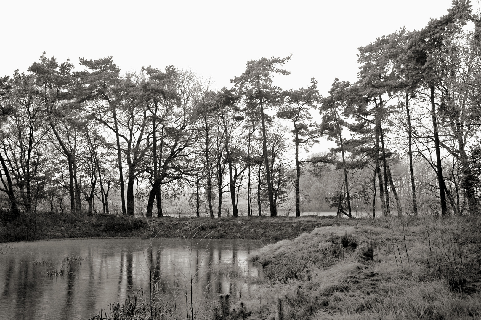 Erster Raureif über dem Teich Foto & Bild landschaft, bach, fluss