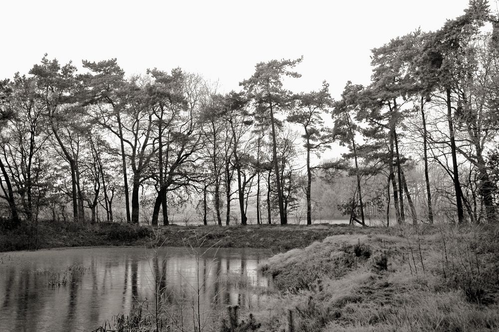 Erster Raureif über dem Teich Foto & Bild landschaft, bach, fluss