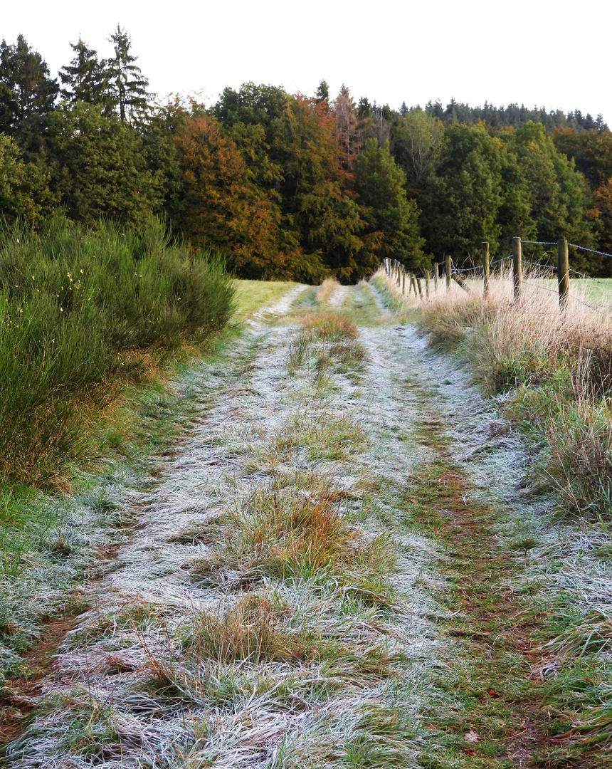 Erster Reif im Oktober