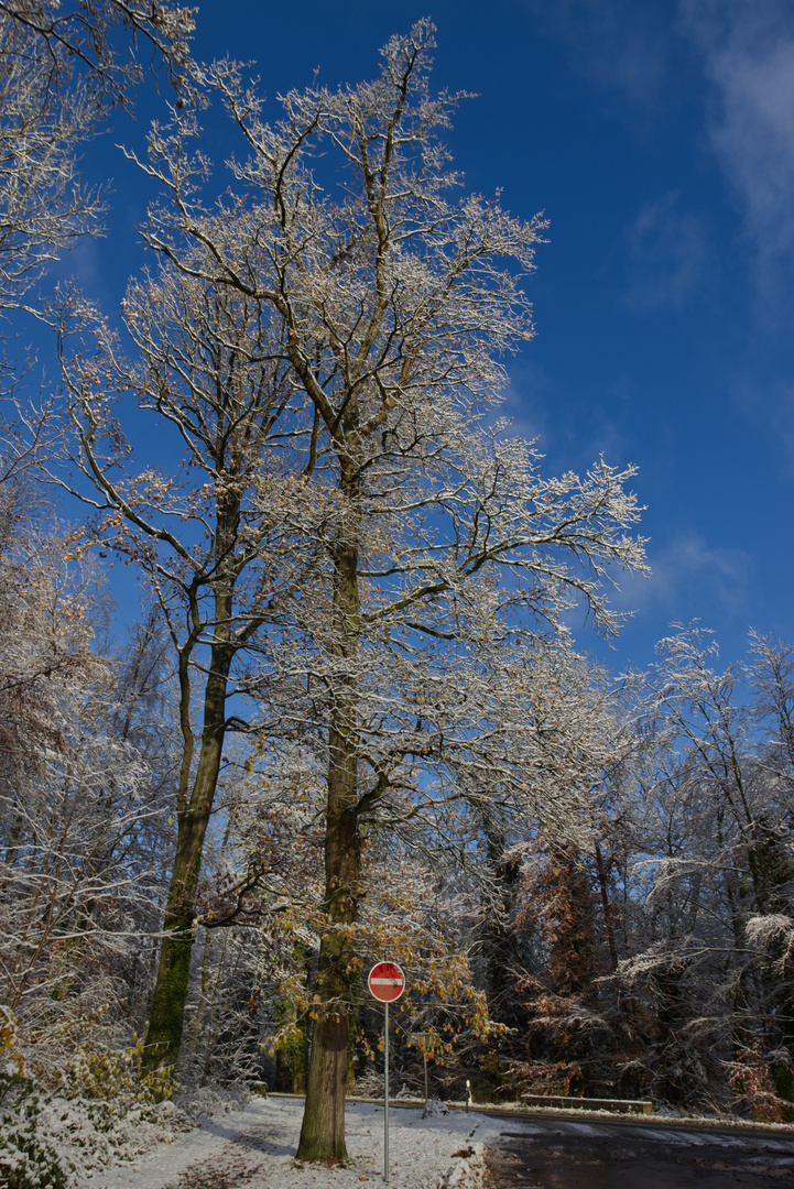 Erster Schnee