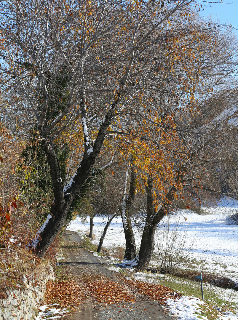 Erster Schnee